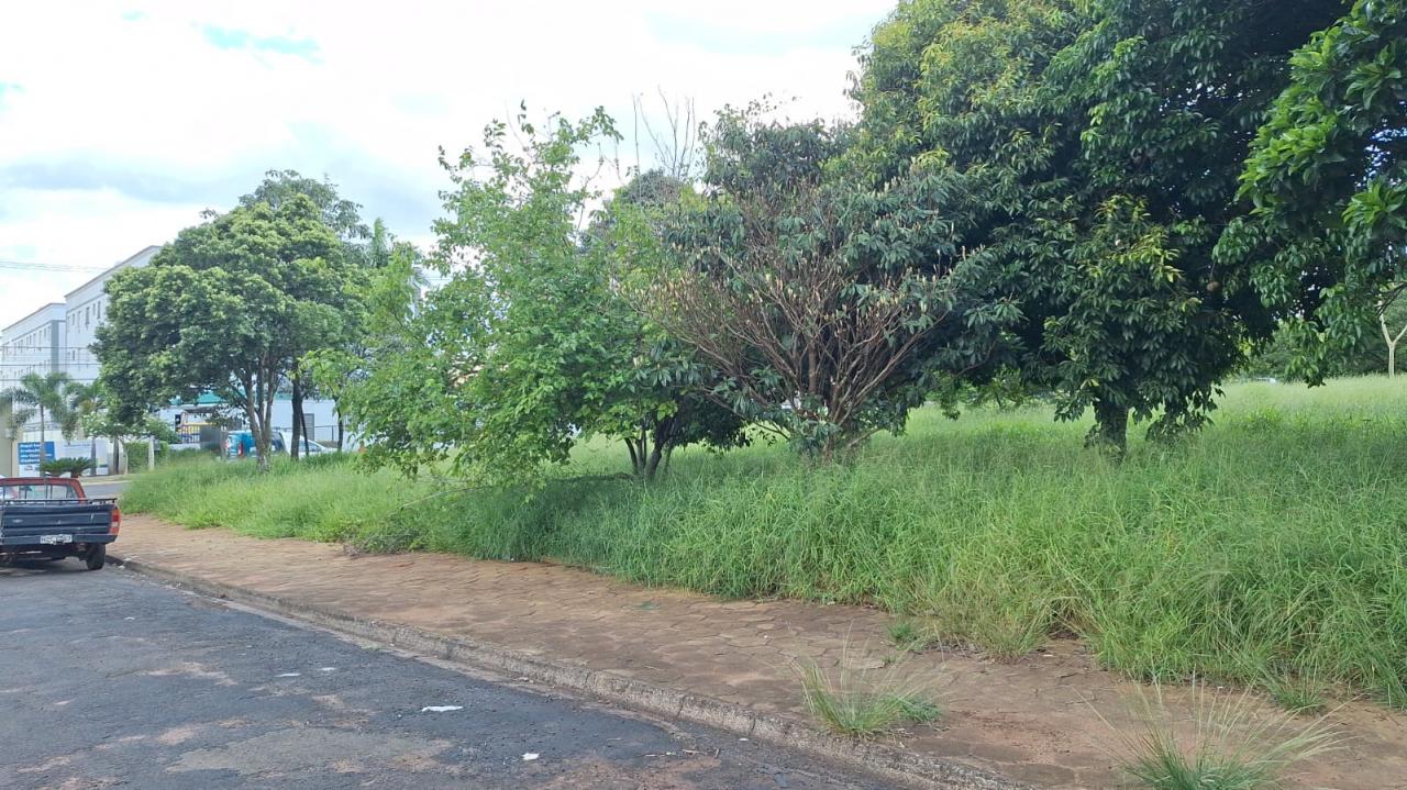 Foto 5 de 5 — Mesmo problema, outro local: moradores denunciam abandono de praça em Araraquara